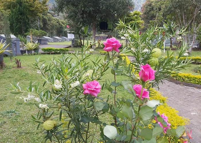 Wisma Nangun Kerti * Bedugul (Bali)